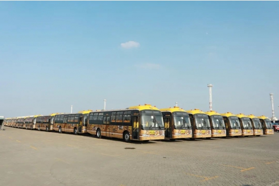 415 unidades de buses king long emprenden viaje a bolivia
