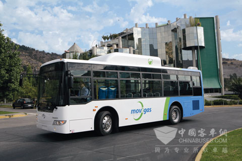 Kinglong Bus abre mercado de buses a gas natural en Chile